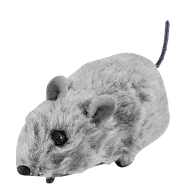 RATINHO-DE-CORDA-ZEIN-772367