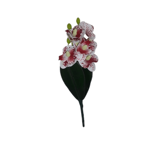 PICK-ORQUIDEA-PHALAENOPSIS-CRAIZ-CAFE-20CM-C6-BELA-FLOR-859447