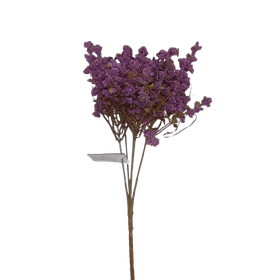 BUQUE-COMPLEMENTO-ROXO-30CM-X5-BELA-FLOR-859448
