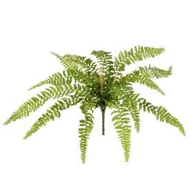 BUQUE-SAMAMBAIA-VERDE-28CM-X7-C14-FOLHAS-BELA-FLOR-859451