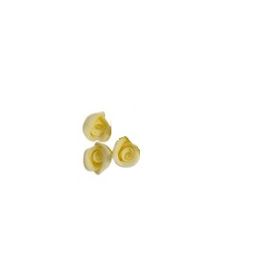 BISCUIT-ROSAS-AMARELA-GRANDE-DI-LUCCA-PC-3.0-859864