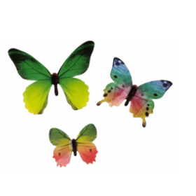 BORBOLETA-MONARCA-VERDE-681012CM-C12-PONTO-DAS-FESTAS-778804