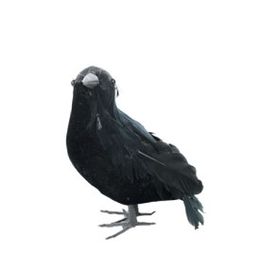 CORVO-GRALHA-M-5X17CM-CROMUS-862455