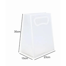 SACOLA-TRANSPARENTE-PVC-CALCA-FOSCA-30X23X15-CROMUS-863415