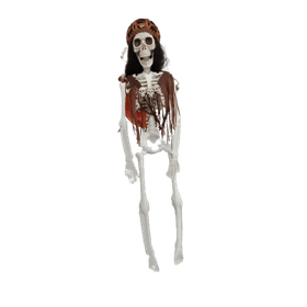 ESQUELETO-PIRATA-JOHNNY-40CM-CROMUS-863434