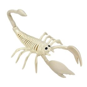 NF-ESQUELETO-ESCORPIAO-28X12CM-YDH--863506