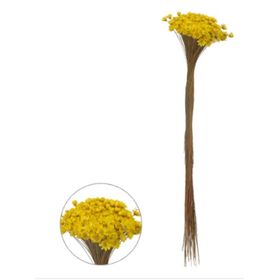 -SEMPRE-VIVA-DESIDRATADO-AMARELO-40CM-VOL.12-FLORARTE-865336