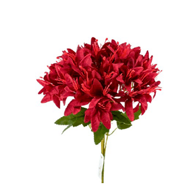 BUQUE-LIRIO-X5-C45-FLORES-CHAMPAGNE-30CM-BELA-FLOR-868826