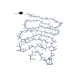 PISCA-PISCA-240-LED-COR-BRANCO-FIO-VERDE-CFULL-STROBO-BIVOLT-5M-FLORARTE-870011