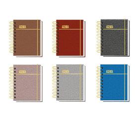 AGENDA-PERMANENTE-LISA-CORES-SORTIDAS-12.9X17.9CM-INTERPONTE-877535