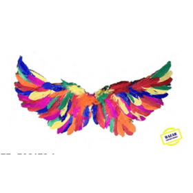 ASA-ANJO-COLORIDA-65X30-BAZAR-IMPORTADORA-885555