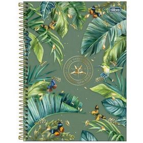 CADERNO-UNIVERSITARIO-NATURALIS-10-MATERIAS-160FLS-TILIBRA-872717