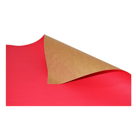 PAPEL-CARTAO-VERMELHO-48X66CM-VMP-886808