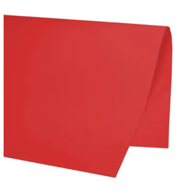 PAPEL-COLORSET-DP-FACE-VERMELHO-48X66CM-VMP-886907