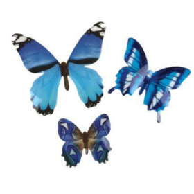 BORBOLETA-MONARCA-AZUL-681012CM-C12-PONTO-DAS-FESTAS-778801