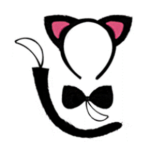 KIT-FESTA-GATINHO-C3PCS-TIARARABOGRAVATA-BAZAR-IMPORTADORA-891890