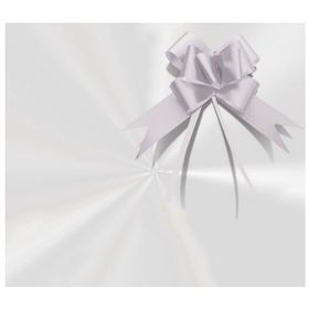 KIT-POLI-CESTA-INCOLOR-52X70CM-CROMUS-896708