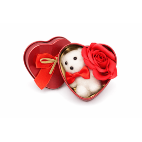 CAIXA-METAL-CORACAO-CROSAS-E-URSO-7X7X3-JAVICK-904430