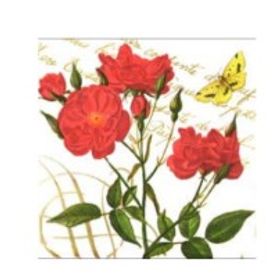 GUARDANAPO-PAP-FLH-DUPLA-JARDIM-ENCANT-FLOR-VERM-33X33CM-PONTO-DAS-FESTAS-905424