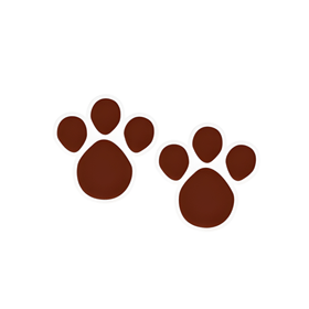 CARTELA-ADESIVA-PEGADAS-MARROM-GG-C4-CROMUS-538370