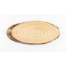 TRONCO-OVAL-MED-UN-30X11CM-ART-LILLE-857537