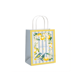SACOLA-PAPEL-PRESENTE-SICILIA-26X195X95CM-AZULAMARELO-CROMUS-912119