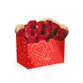CESTA-ENVELOPE-PAPEL-COM-AMOR-VERMELHO-21X13X20CM-IDEIA-EMBALAGENS-918059