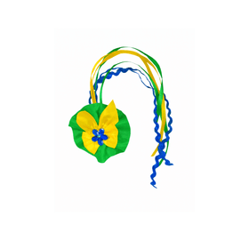 PRESILHA-PCABELO-FITAS-TECIDOS-BRASIL-NYR-907434