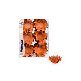FORMINHA-VENEZA-TERRACOTA-C40-UNIDADES-PLAC-864535