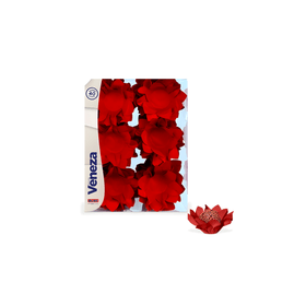 FORMINHA-VENEZA-VERMELHO-CEREJA-C40-UNIDADES-PLAC-864515