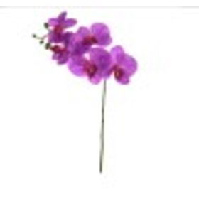 ORQUIDEA-PHALAENOPSIS-REAL-TOQUE-X5-ROXA-55CM-FLORARTE-921524