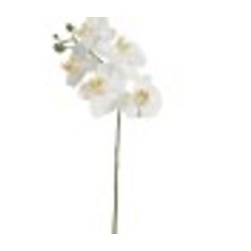 ORQUIDEA-PHALAENOPSIS-REAL-TOQUE-X5-BRANCO-55CM-FLORARTE-921557