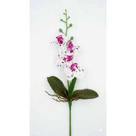 ORQUIDEA-PHALAENOPSIS-REAL-TOQUE-X5-BRANCO-ROSA-29CM-FLORARTE-921722