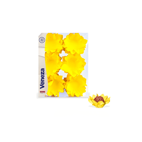 FORMINHA-VENEZA-AMARELO-C40-UNIDADES-PLAC-768201