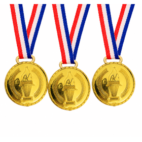 KIT-MEDALHA-WINNER-C3-PCS-35X45CM-YDH-883363