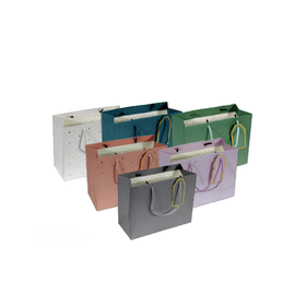 SACOLA-PRESENTE-PAPEL-FLOR-MARGARIDA-23X18X10CM-SORTIDA-AMIGOLD-925385