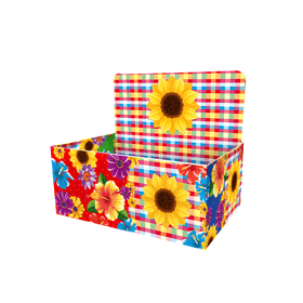 CAIXA-GIRASSOL-XADREZ-9X14X21CM-HALLEY-FITAS-932481