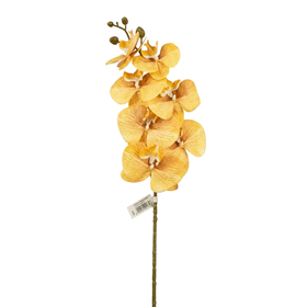 HASTE-ORQUIDEA-LARANJA-OUTONO-X7-80CM-FLORARTE-950498