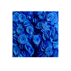 PAPEL-ROCOCO-REAL-SEDA-AZUL-ESCURO-C40-REAL-SEDA-764516