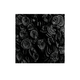PAPEL-ROCOCO-REAL-SEDA-PRETO-C40-REAL-SEDA-764523