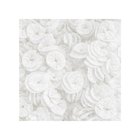 PAPEL-ROCOCO-REAL-SEDA-BRANCO-C40-REAL-SEDA-764518