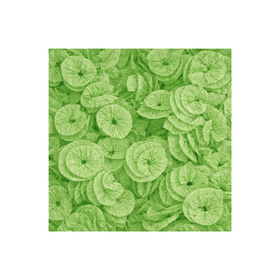 PAPEL-ROCOCO-REAL-SEDA-VERDE-CLARO-C40-REAL-SEDA-764527
