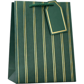 SACOLA-PPRESENTE-LISTRADA-VERDE-32X26X12CM-PARTIU-FESTA-963256