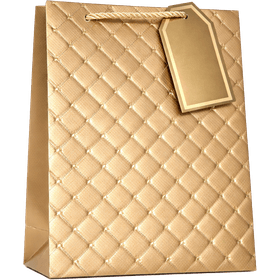 SACOLA-PPRESENTE-ALMOFADADA-DOURADO-36X26X12CM-PARTIU-FESTA-963254