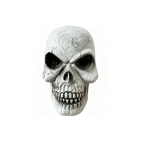 CRANIO-CAVEIRA-20CM-JZ-FESTAS-968593